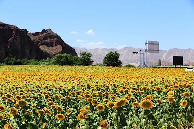 《命令与征服：军团》移动版发布 年内上线