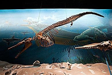 《月姬格斗：Type Lumina》米哈尔角色演示 速如雷霆超远攻击 